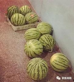 诱惑一波吃瓜群众的人叫什么,是谁在操控舆论风向？