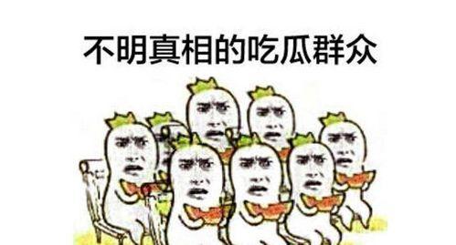 吃瓜群众经营方案怎么写,打造全民娱乐新风向