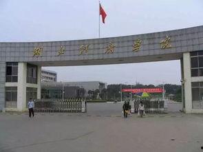 吃瓜群众上线湖北经济学院,校园生活新风向