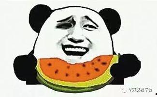 小斗士的吃瓜群众是哪一集,吃瓜群众背后的真相揭秘