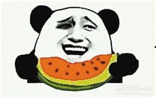 宋文静吃瓜群众,吃瓜群众的视角解读娱乐圈风云