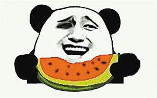 吃瓜群众还有什么群众,探寻现代生活中的不同群体