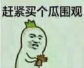 吃瓜群众王小猫是谁扮演的,揭秘吃瓜群众背后的神秘面纱