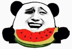 吃瓜群众婷儿,揭秘娱乐圈幕后故事