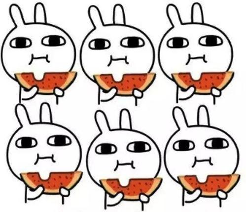 微笑泪奔呆无辜吃瓜群众,呆萌无辜，吃瓜群众围观娱乐圈风云