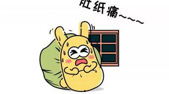 我的集美吃瓜群众是谁,网络红人的崛起之路