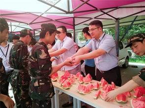 抓赌找到一群吃瓜群众的人