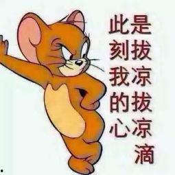 帅气吃瓜群众图片大全,帅气吃瓜群众，解锁夏日街头时尚密码