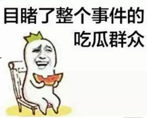 吃瓜群众付大豪完整版,揭秘娱乐圈背后的真实故事