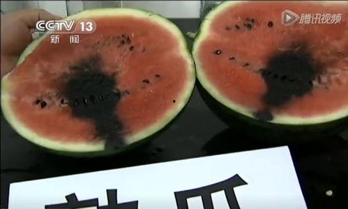 吃瓜群众吃东西视频,揭秘吃瓜群众的热门美食瞬间